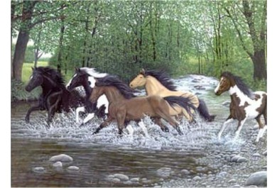 Royal Langnickel malování podle čísel - Koně běžící vodou 40x30 cm