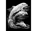 Royal Langnickel škrabací obrázek stříbrný 25 x 20 cm - Delfíni