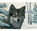 Royal Langnickel Malování podle čísel - Vlk ve sněhu, 40x30 cm