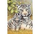 Royal Langnickel Malování podle čísel - Tygr s mládětem, 22x30 cm