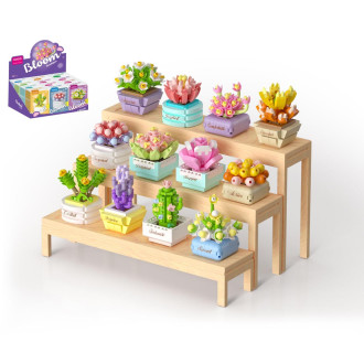 Stavebnice mini KOCO Sukulent v květináči plast mix druhů v krabičce 8x12x4cm 12ks v boxu
