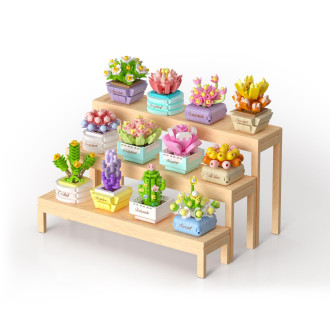 Stavebnice mini KOCO Sukulent v květináči plast mix druhů v krabičce 8x12x4cm 12ks v boxu