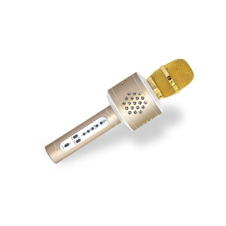 Mikrofon karaoke Bluetooth zlatý na baterie s USB kabelem v krabici 10x28x8,5cm