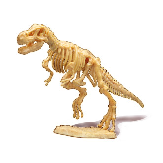 BUKI DinoDIG T-REX vykopávka s kostrou a fosílií
