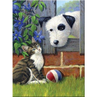 Royal Langnickel  Malování podle čísel - Hra s míčem, 22x30 cm