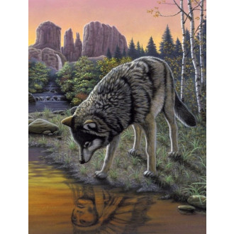 Royal Langnickel malování podle čísel - Vlk, 22x30 cm
