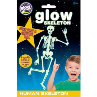 GlowStars - Svítící lidská kostra