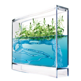 T.A.O.S. Super Forest Ant Ecoterrarium, Mravenčí akvárium
