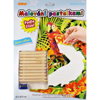 ArtLover Malování pastelkami - Papoušci