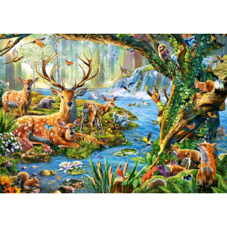 Castorland puzzle 500 dílků - Život v lese