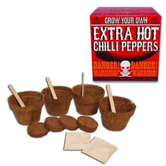 Grow your own - Chilli