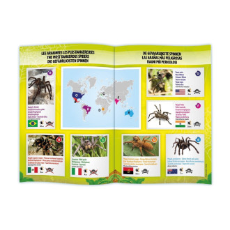BUKI RC Tarantule
