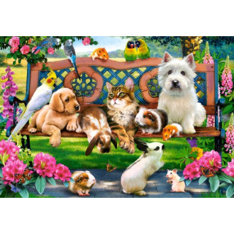 Castorland puzzle 1000 dílků - Mazlíčci v parku