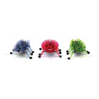 HEXBUG Beetle