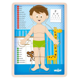 Woody dřevěné puzzle Lidské tělo, Kluk
