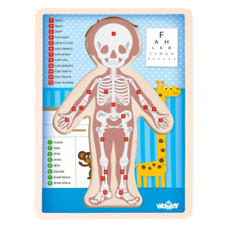 Woody dřevěné puzzle Lidské tělo, Kluk