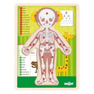 Woody dřevěné puzzle Lidské tělo, Holka