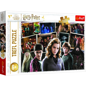 Trefl puzzle 160 dílků - Harry Potter a přátelé