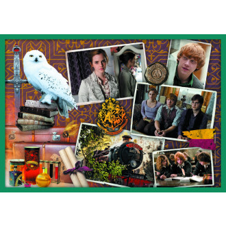Trefl puzzle set 10v1 - Ve světě Harryho Pottera