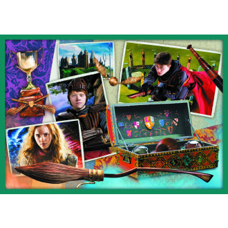 Trefl puzzle set 10v1 - Ve světě Harryho Pottera