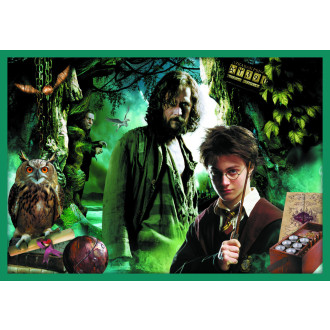 Trefl puzzle set 10v1 - Ve světě Harryho Pottera