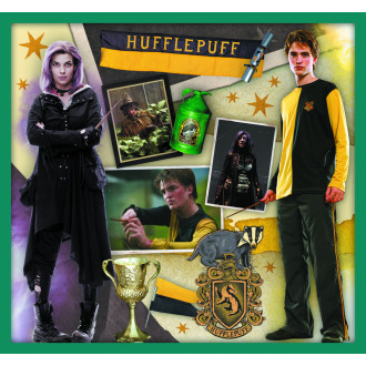 Trefl puzzle set 10v1 - Ve světě Harryho Pottera