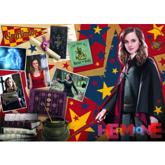 Trefl puzzle set 3v1 - Harryho Potter, Ron a Hermiona