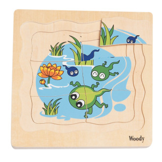 Woody Puzzle na desce - Vývoj žáby