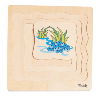 Woody Puzzle na desce - Vývoj žáby