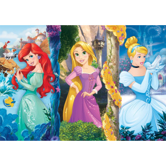 Clementoni Puzzle Princezny 60 XL dílků