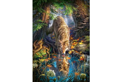 Castorland puzzle 1500 dílků - Pijící vlk