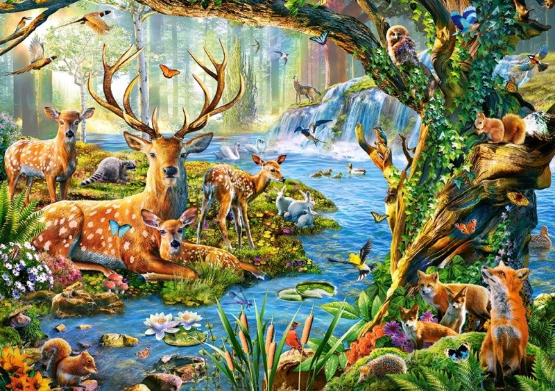 Castorland puzzle 500 dílků - Život v lese