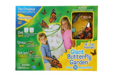 Insect Lore Velká motýlí zahrádka (6-10 housenek), Butterfly Pavilion