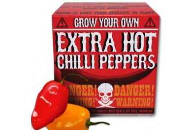 Grow your own - Chilli