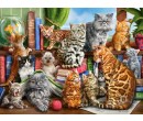 Castorland puzzle 2000 dílků - Kočičí dům