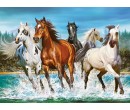 Puzzle Castorland 2000 dílků  -  Běžící koně