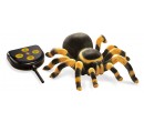 BUKI RC Tarantule