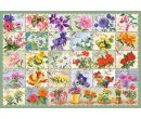 Castorland puzzle 1000 dílků - Herbář