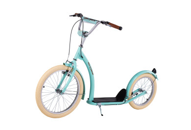 Koloběžka NILS Extreme WH222, 20/16 Mint