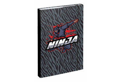 BAAGL Desky na školní sešity A4 Ninja