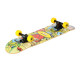 Skateboard Nils Extreme CR3108SA COLOR WORMS, 78x20 cm