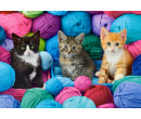 Castorland puzzle 1000 dílků - Koťata v přízi