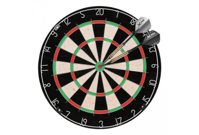 Šipky s terčem XQ MAX Dartboard Starter Set Europe 46 cm