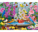 Puzzle Castorland 2000 dílků - Ptáci u pítka