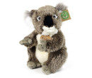 Rappa Plyšová koala sedící ECO-FRIENDLY 22cm