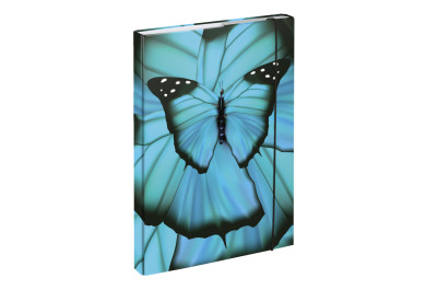 BAAGL Desky na školní sešity A4 Butterfly
