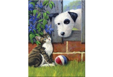 Royal Langnickel  Malování podle čísel - Hra s míčem, 22x30 cm
