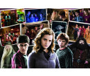 Trefl puzzle 160 dílků - Harry Potter a přátelé