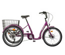 Liberty Trojkolka COMFY 6spd. Disk 2025 fialová