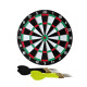 Šipky s terčem XQ-MAX MVG Dartboard 38 cm